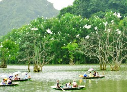 Tour du lịch Thung Nham – Ninh Bình, 1 ngày, Đoàn riêng